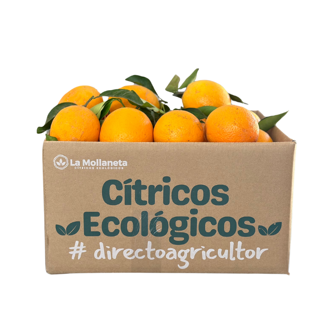 Naranjas ECOLÓGICAS