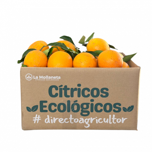 Naranjas ECOLÓGICAS