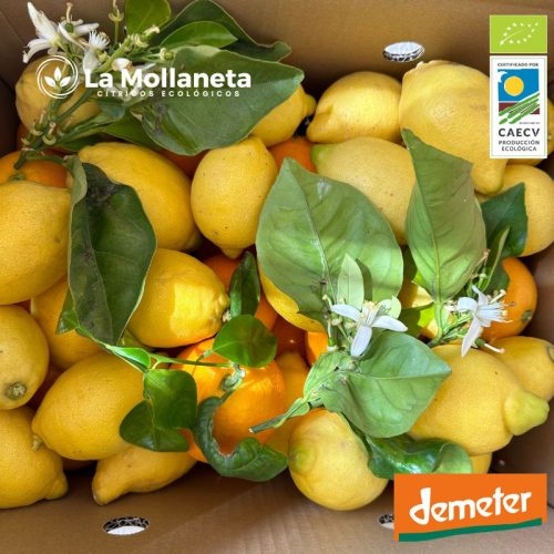 Limón ECOLÓGICO 20 kg