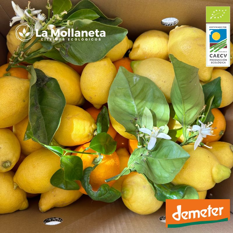Limón ECOLÓGICO 20 kg