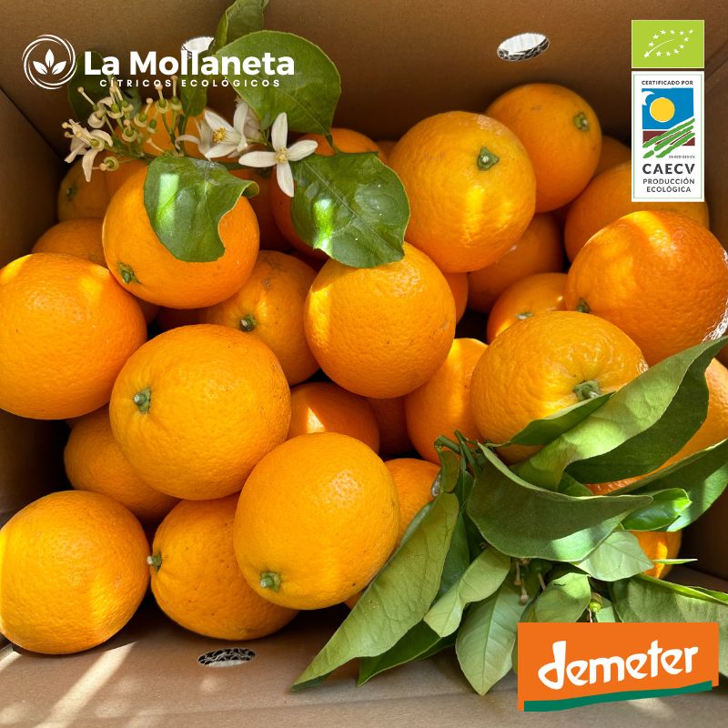 Naranjas ECOLÓGICAS MESA 5 kg