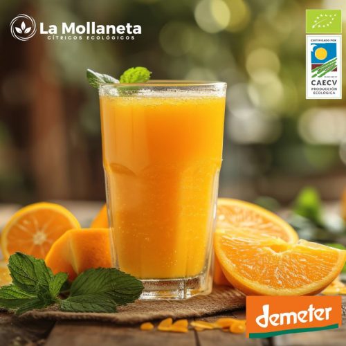 Naranjas ECOLÓGICAS ZUMO 10 kg