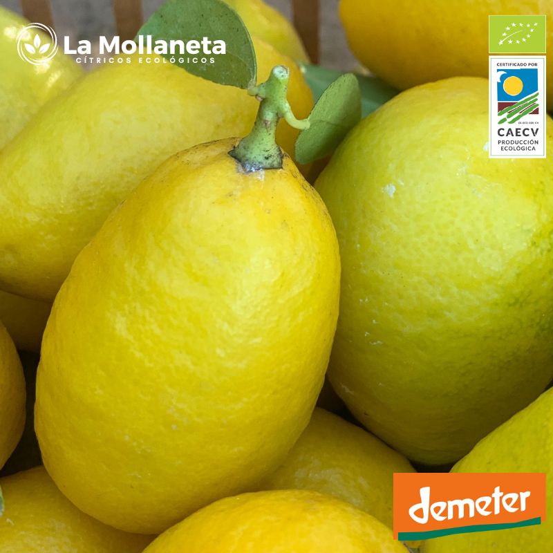 Limaquat ECOLÓGICO