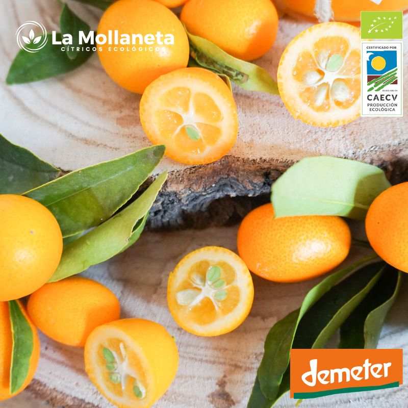 Kumquat ECOLÓGICO 3 Kg