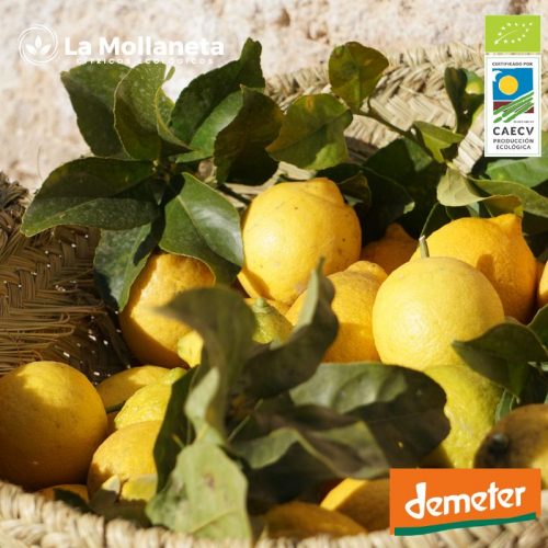 Limón ECOLÓGICO 20 kg