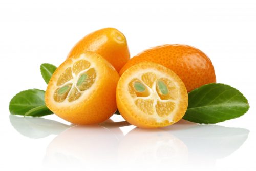 Kumquat ECOLÓGICO