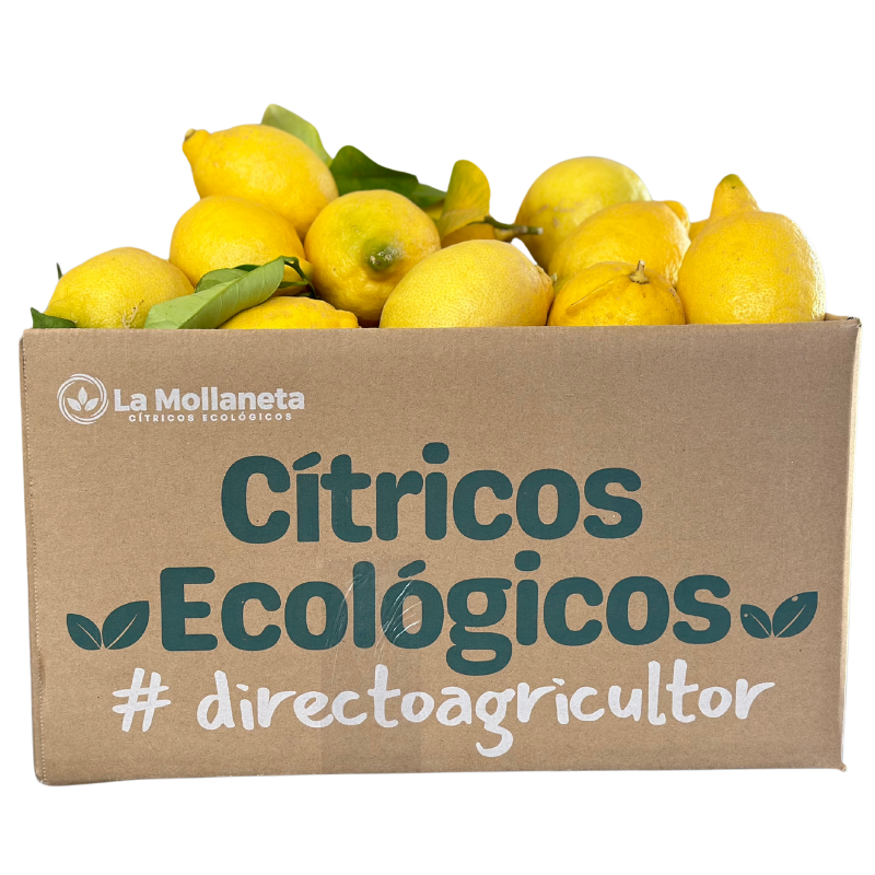limon ecologico