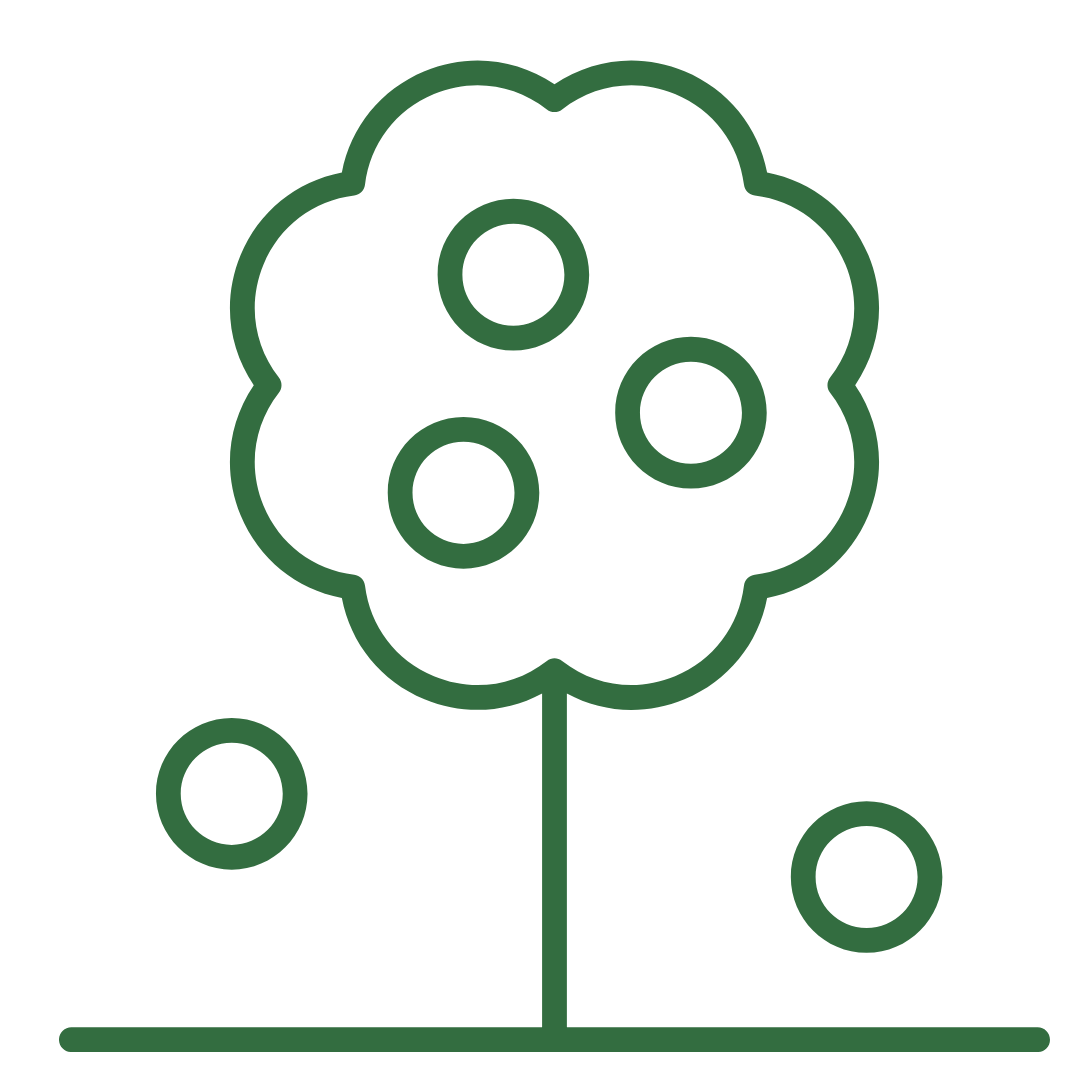 arbol