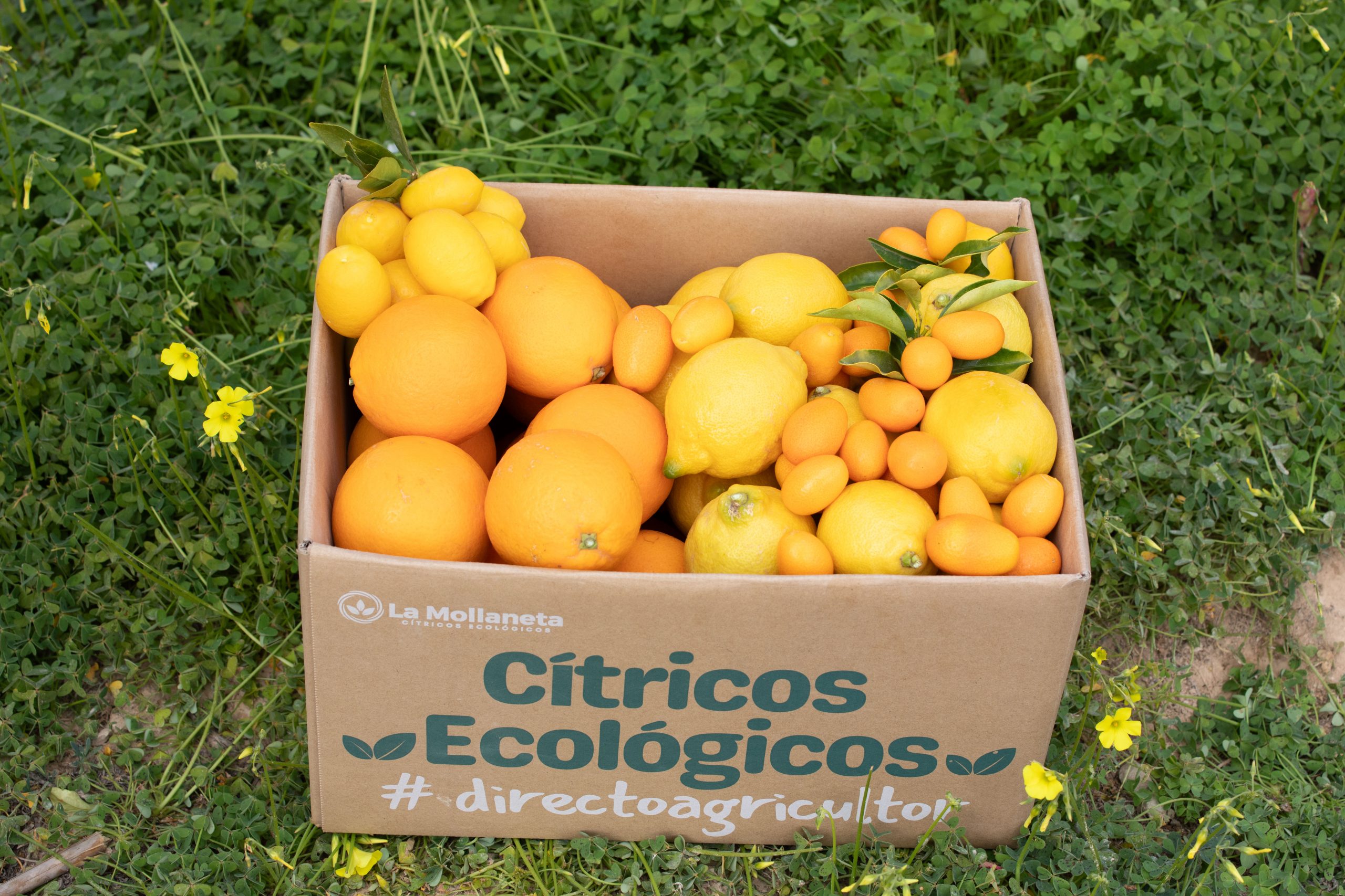 Caja limones y naranjas
