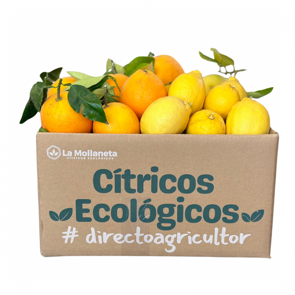 Citricos ecológicos a domicilio