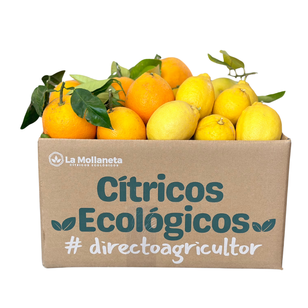 Citricos ecológicos a domicilio
